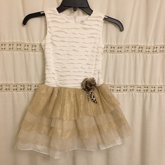 rose dress for girls